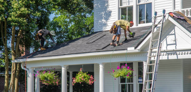 Best Best Roofing Contractors  in Springfield, NE