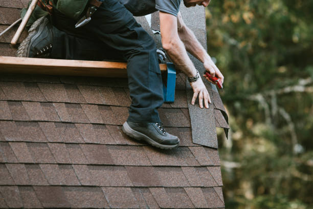 Best Local Roofing Companies  in Springfield, NE