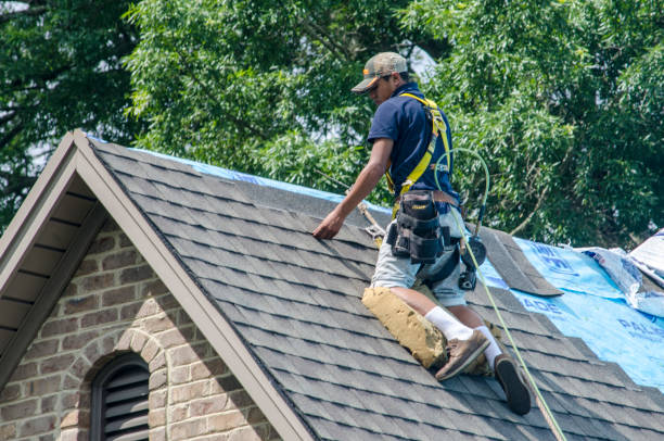 Best Residential Roofing Contractor  in Springfield, NE